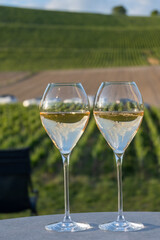 Glasses of white sparkling wine brut, grand reserve, champagne on green hilly vineyards in old wine making grand cru Ay-Champagne village in Vallee de la Marne, Champagne, France