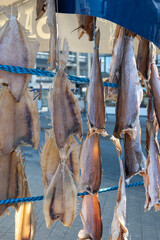 Dtied on air or salted stock fish on sea promenade in Oostende, Belgium