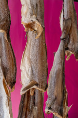 Dtied on air or salted stock fish on sea promenade in Oostende, Belgium