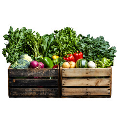 Fresh Vegetables and Leafy Greens Assortment for Healthy Cooking and Nutrition