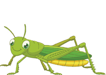 green grasshopper isolated on white background
