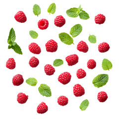 Fresh Raspberries and Mint Leaves on Transparent Background for Graphic Design Projects