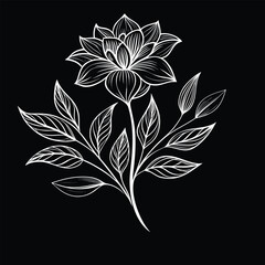 Minimalist black and white floral botanical line art design