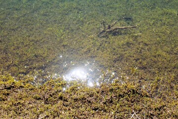 Nature at Ampay National Natural Sanctuary near Abancay in the Peruvian Andes.
