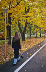 Aesthetic young woman wearing a black coat walks along the colorful trees alley in the autumn park. Serene and calm fall season scene