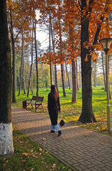 Beautiful young woman wearing a black coat walks along the colorful trees alley in the autumn park. Warm sunbeams lit the orange leaves a bench and lamp post along the path