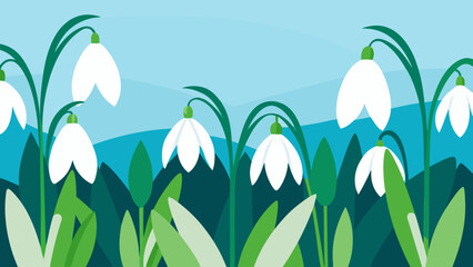 Captivating Quiet Beauty of a Field of Snowdrops in Early Spring