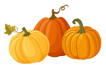 Colorful autumn pumpkins. Seasonal harvest design for greeting or poster