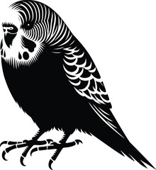 Sitting Budgerigar silhouette vector illustration isolated on a white background