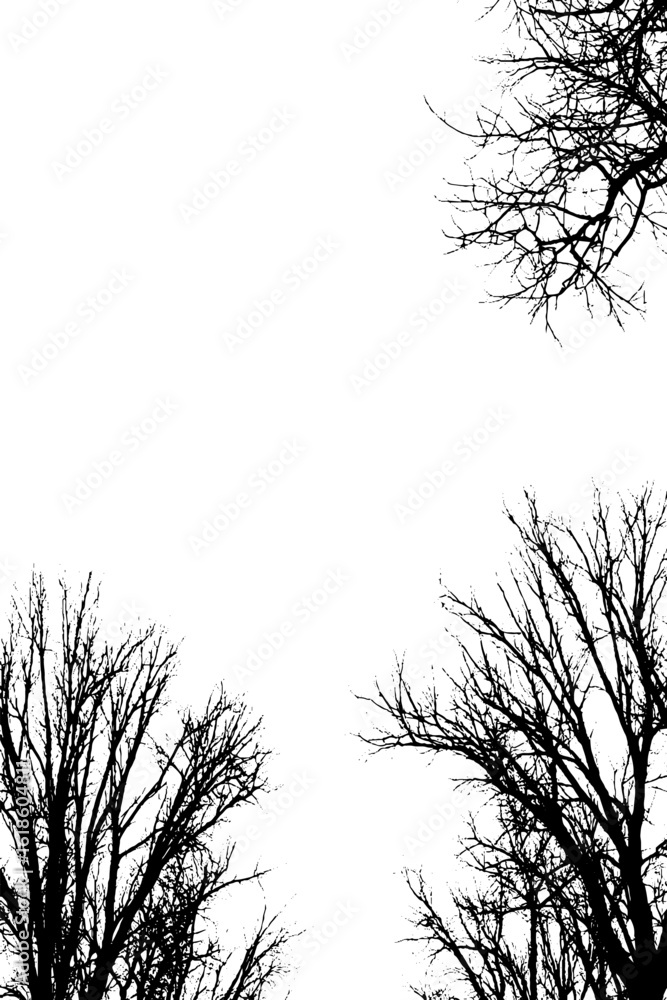 Aufkleber abstract winter scene with bare trees fading into hazy background for decorative design