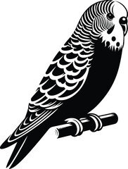 Sitting Budgerigar silhouette vector illustration isolated on a white background