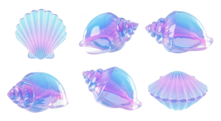 Iridescent seashells displayed on white backdrop showcasing reflective surfaces suitable for decorative designs or ocean-themed projects