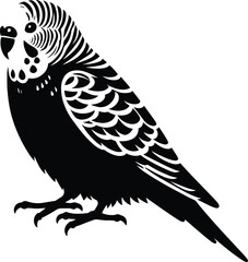 Sitting Budgerigar silhouette vector illustration isolated on a white background