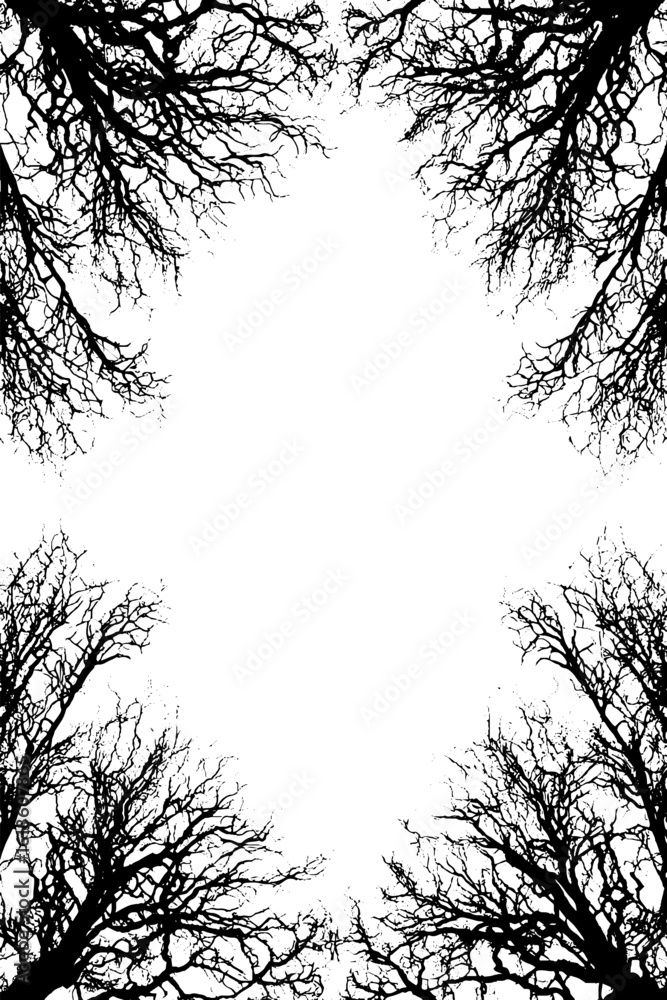 Poster abstract frame of bare trees with ground shadows for nature design and decoration