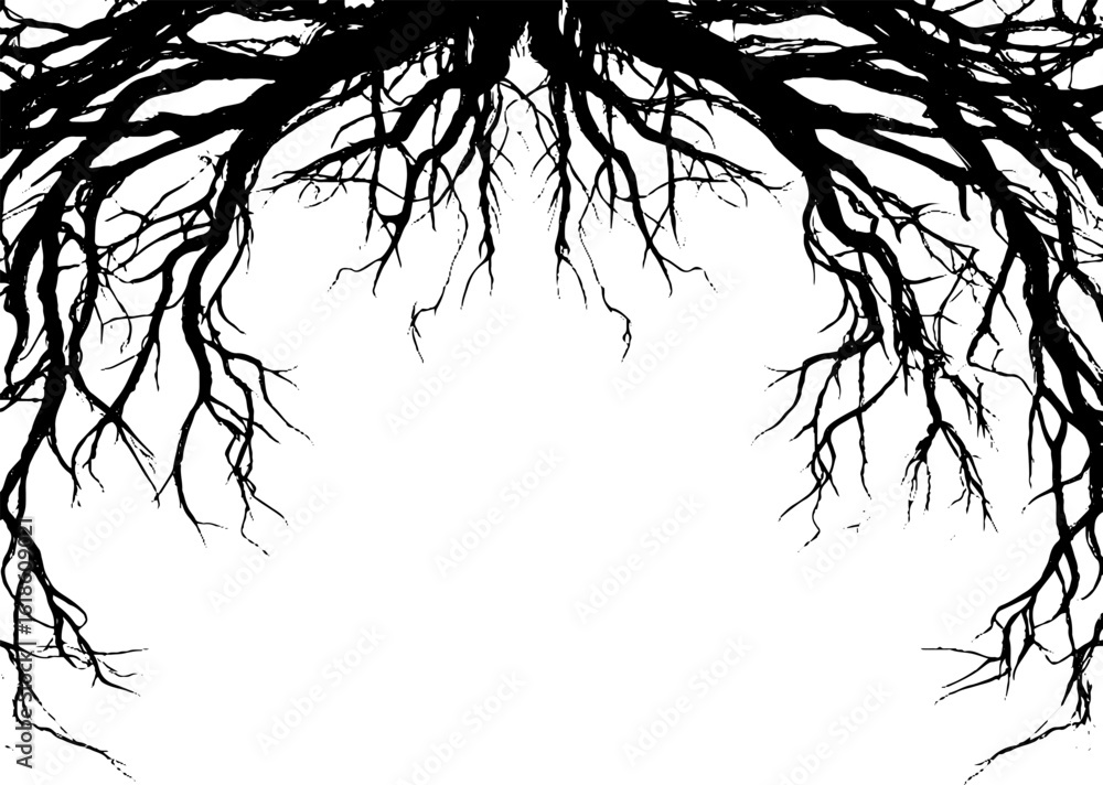 Poster abstract organic frame with intricate root lines for elegant design concepts