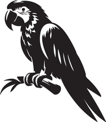 Bird Parrot Logo Vector Black Silhouette Illustration
