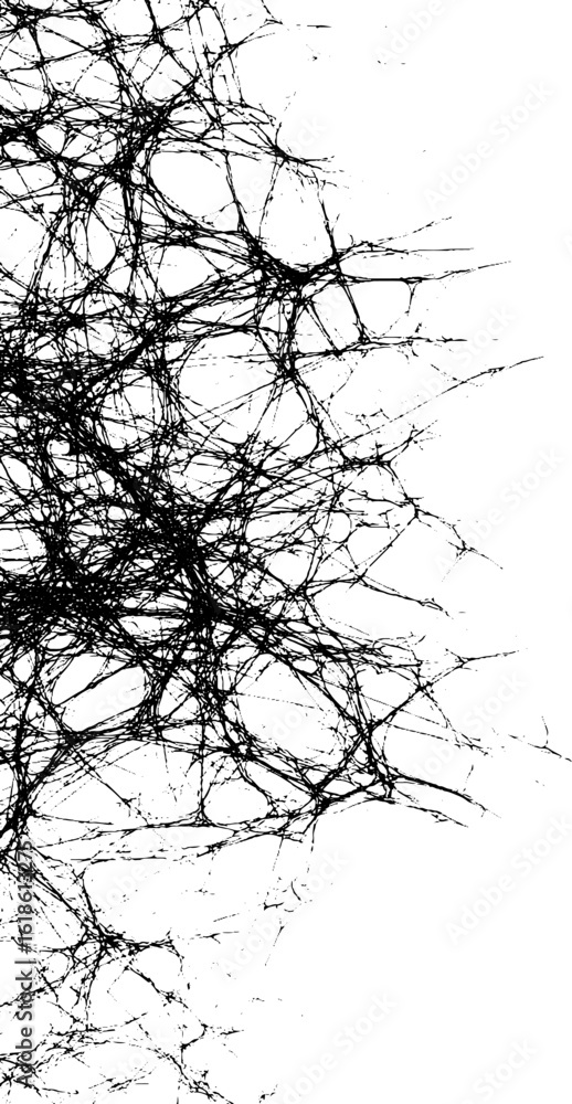 Poster abstract texture of dry botanical lines forming unique patterns for design and decoration