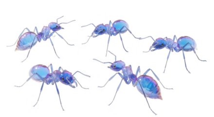 Group of blue glass ants walking on a white surface casting long shadows; illustrating teamwork community or scientific study
