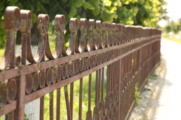 Metal figured fence brown. Kanev. Ukraine.