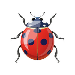 Ladybug Isometric Icon