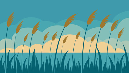 Tall Swaying Pampas Grass Field Nature Landscape