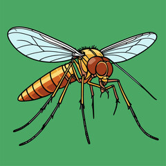 illustration of small insects