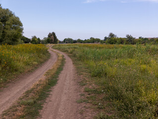 A dirt road in the middle of a grassy field