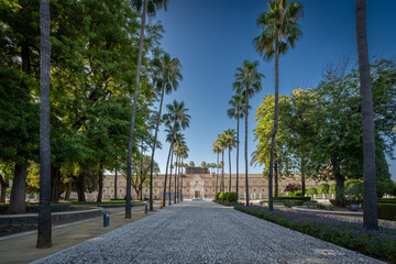 Sevilla, España. 1 de julio de 2025. Las amplias calles arboladas cerca del centro histórico de...