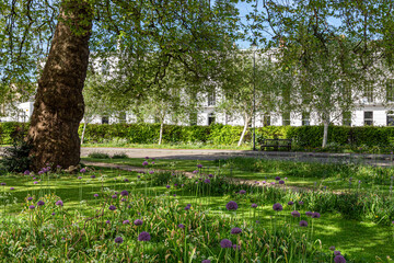 Typical Regency architecture, Royal Crescent, Cheltenham, Gloucestershire, England UK