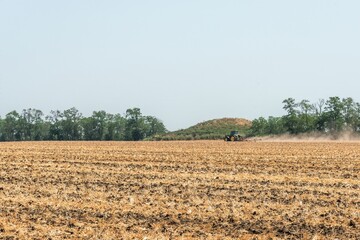 green hill of an ancient burial mound located in a forest shelter belt on the fields of the plains of southern Russia on a hot sunny summer day