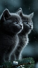 Two kittens in the snow