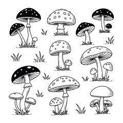set of mushroom house line art, black outline, vector and illustration, coloring book page line art drawing