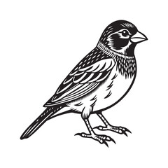 Finch Bird silhouette vector illustration logo design sticker 