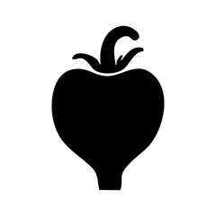 vector illustration of a radish