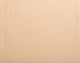 Light beige cardboard texture