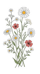 A charming collection of delicate wildflowers featuring daisies and poppies in a rustic botanical illustration style