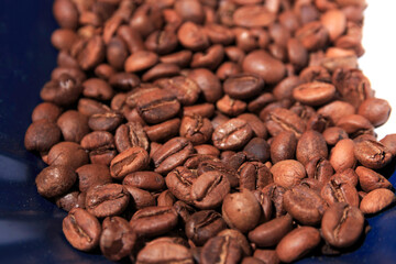 Green, ripe red and roasted fruits of Colombian coffee cultivation