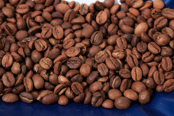 Fototapeta premium Green, ripe red and roasted fruits of Colombian coffee cultivation