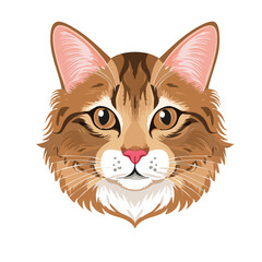 Fototapeta premium Cat Face Vector Illustration – Cute and Stylized Feline Head Design
