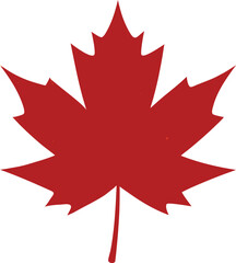 Vibrant color maple leaf illustration on white background