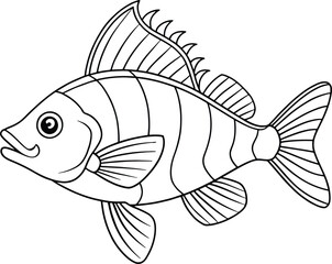 Perch fish detailed drawing perfect for marine coloring books and creative children’s educational content