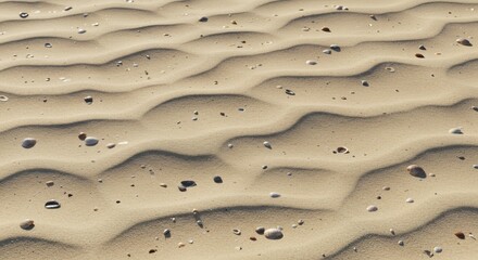 Sandy Beach Texture with Shells