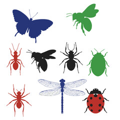 Vector art of silhouettes of various insects including butterfly, bee, ant, spider, dragonfly, and ladybug, isolated on white background