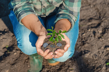 Female palms with green tree growing from soil with coins. Green business. Concept of profit growth.