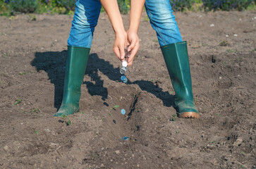 Female hands sow silver coins in plowed black soil. Investment in future, ecology, agriculture.