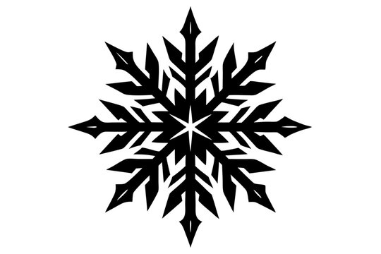 Winter Frost Pattern Icon Vector Illustration