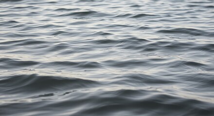 Naklejka premium Gentle waves dancing on the water's surface, creating a serene and peaceful atmosphere perfect for meditation, relaxation, or adding a touch of tranquility to your creative project