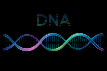 Vibrant D N A helix and text double helix genetic code