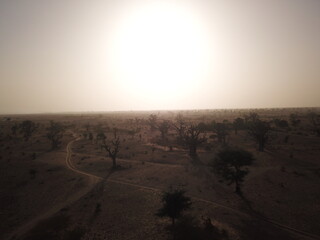 Fototapeta premium Photo drone avec champ de baobabs (Sénégal)