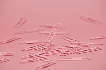 A randomly scattered heap of pink paperclips with one alone raised on the bright solid fond plain pink background